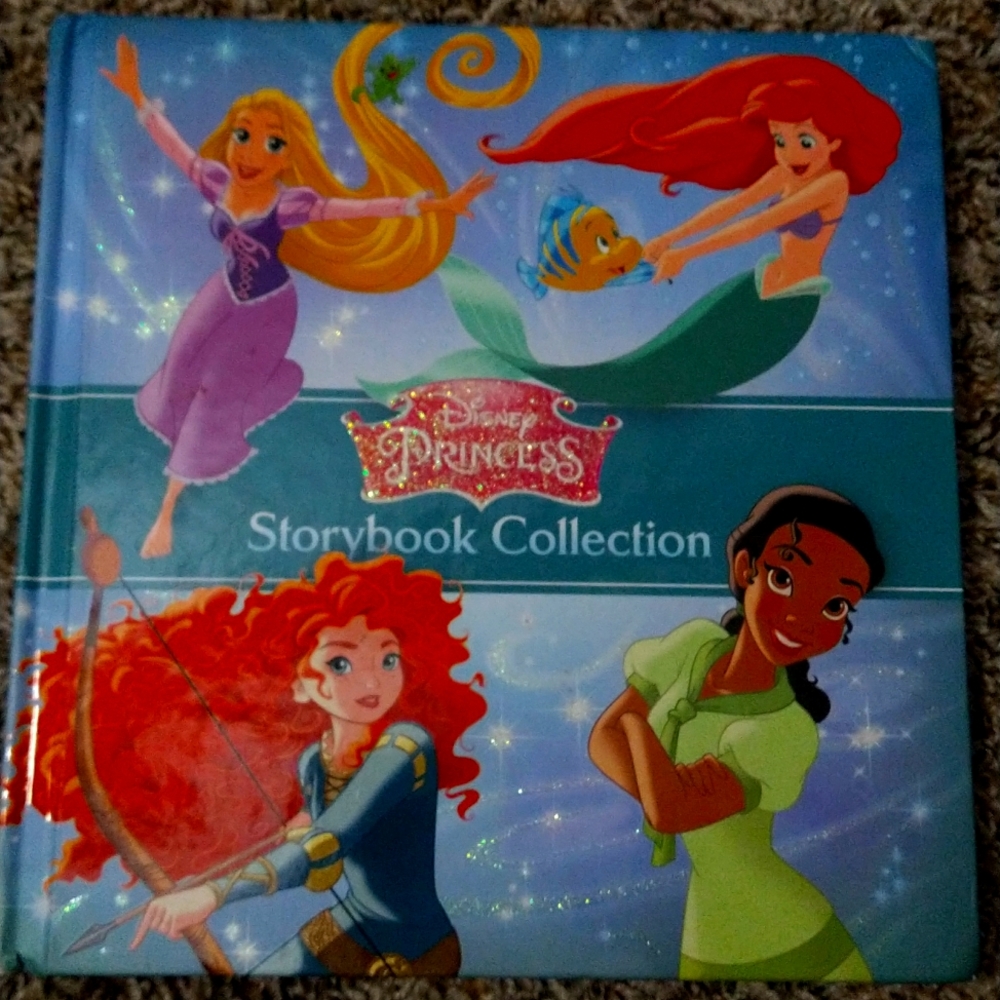 Brand New Disney Princess collection book
